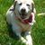 Sherry Lee Porter's profile image