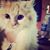 Sarah Haroon's profile image