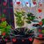 Rich Karen Nealis's profile image