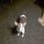 Jusnita Pearce's profile image