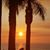 Susie Paige Grenier's profile image