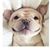 Claudia Ramirez's profile image
