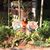 Lesley-Ann Walker's profile image