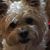 Alice Boudreaux's profile image