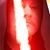 Scott Pogar's profile image