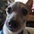 Marcie Grasso's profile image