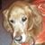 Carol Godshall's profile image