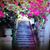 Adrine Andreasian's profile image