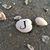 Pam Hughes Joffrion's profile image