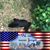 Renee Bell's profile image