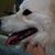 Patti Mattson's profile image