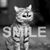 Linda A. Wood's profile image