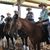 Kathy Di Lenge Marlowe's profile image