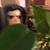 Kaytlyn Tomassi's profile image