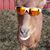 Kim Leibbrand's profile image