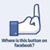 Rose Sev Rotunno's profile image