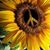 Sue Arline Thelen's profile image