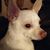 Rick Nelson's profile image