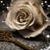 Kathy Heibel's profile image