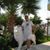 Bogdan Dorin's profile image