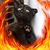 Benjamin Castricone's profile image