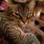 Chris Hough's profile image