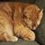 Jim Moparman Wisner's profile image