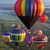 Connie Ginter Rode's profile image