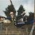 Jody Schiller Weissman's profile image