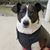 Perla Martinez's profile image