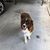 Susan Nelson Brown's profile image