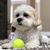 Kevin Brandon's profile image