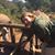 Karen Costango Vogter's profile image