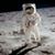 Scott Murphy's profile image