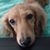 Kitty Adair's profile image