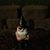 Darryl Jennings's profile image