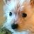 Phillip H Raddatz's profile image