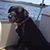 Nicole Hope Hustead's profile image