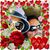 Andy Verbeck's profile image