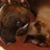 Judi Stevens's profile image