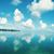 Sherry Ackerman Whisonant's profile image