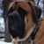 Chris Ungaro's profile image