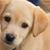 Mary Smith's profile image