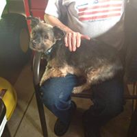 Betty Barnett's profile image