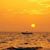 Giu Machi's profile image
