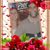 Tammy Brown Schlachter's profile image