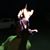 Geoffery Voltz's profile image