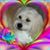 Pam Beckland's profile image