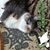 Gina Randall's profile image