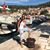 Joy Sattarelle's profile image